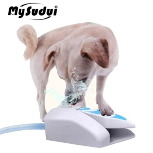 Automatic Water Outdoor Dog Fountain