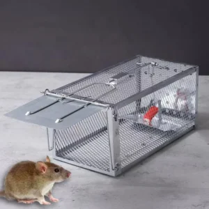 Mouse Trap Sensitivity