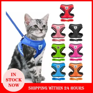 Cat Body Harness