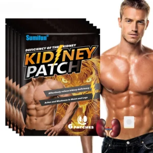 48Pcs Kidney Care Patch