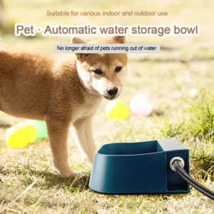 Auto-Fill Outdoor Dog Water Station