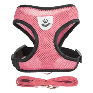 Cat Body Harness