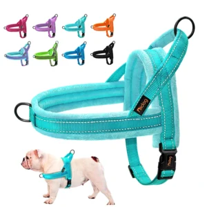 Warm Dog Harness for Winter