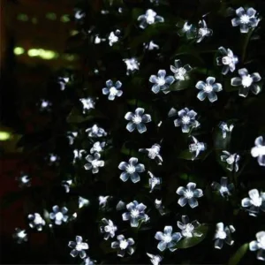 12m Solar Powered Cherry LED Lights