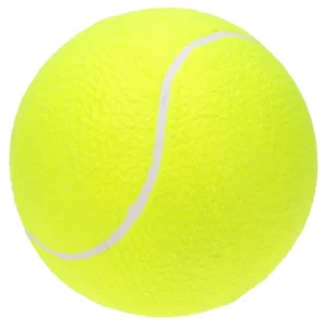 9.5 inch Oversize Balls for Giant Tennis