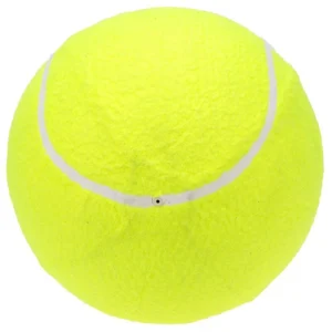 9.5 inch Oversize Balls for Giant Tennis